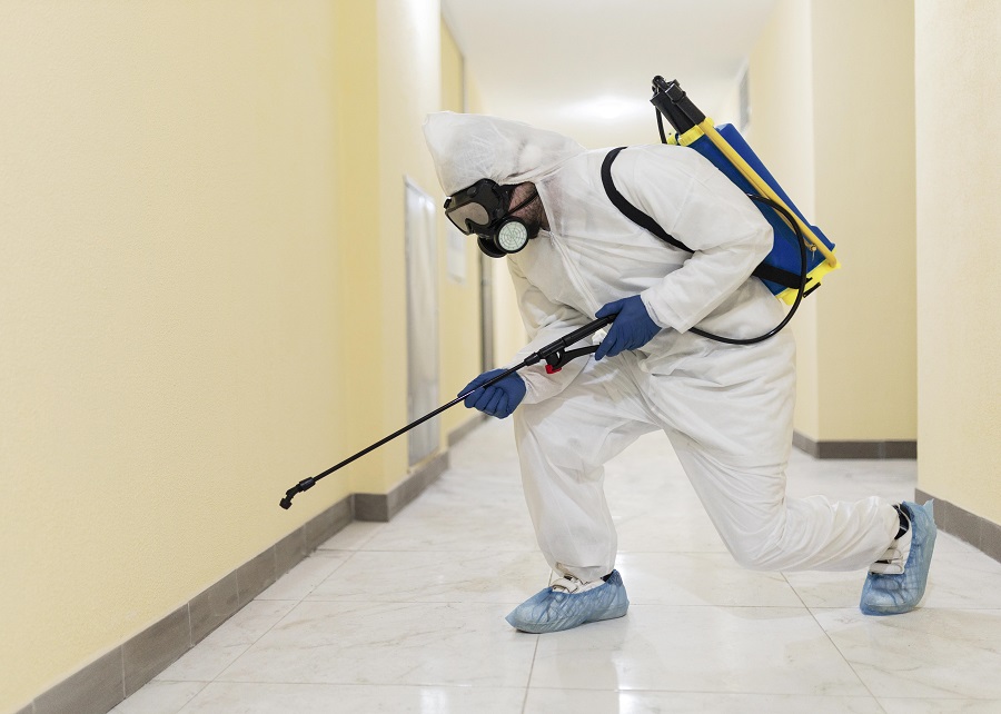 Hawx Pest Control Reviews: Quick, Reliable, and Thorough Service